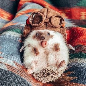 Meet your Posher, Mckenzie